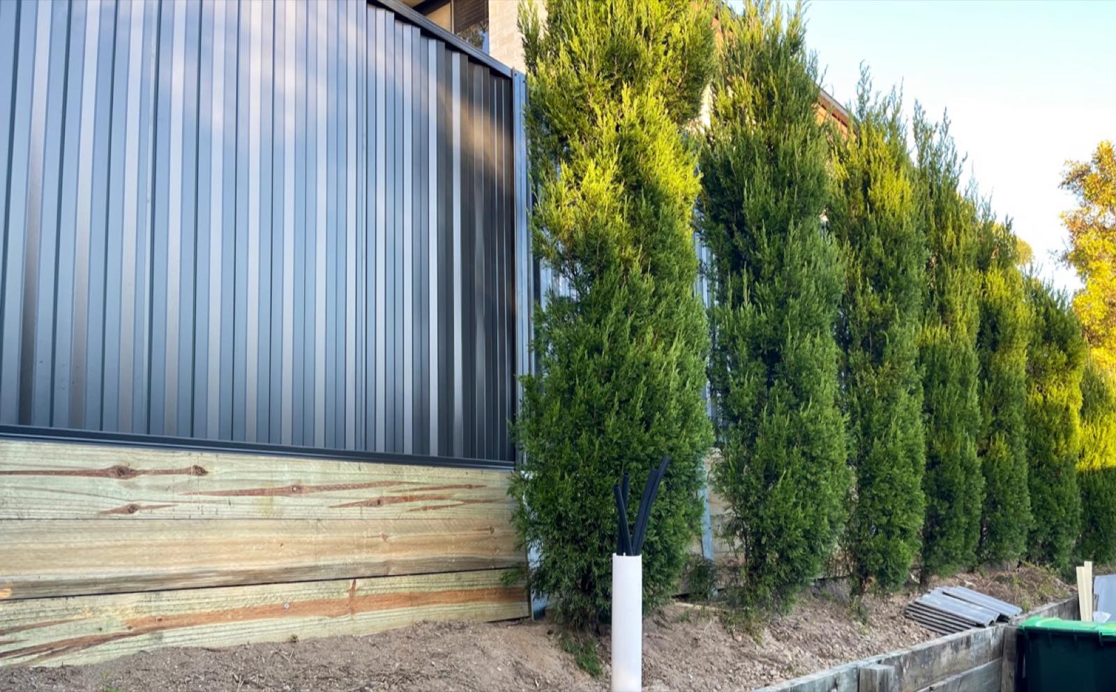Charcoal colorbond fence behind a row of established hedging